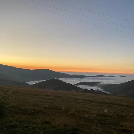 Kardelen *